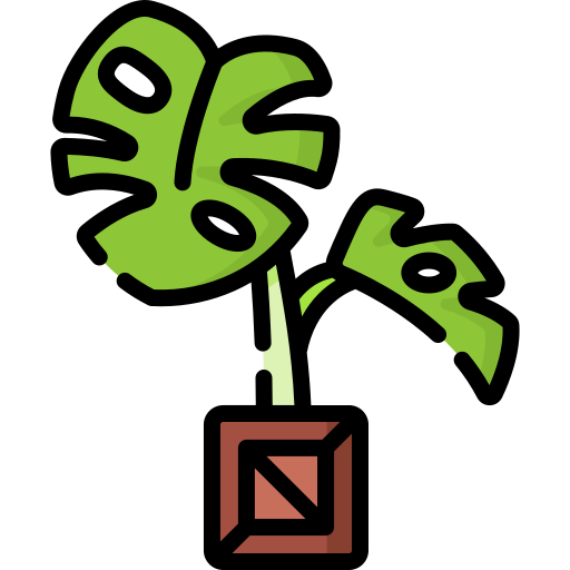 Монстера бесплатно иконка