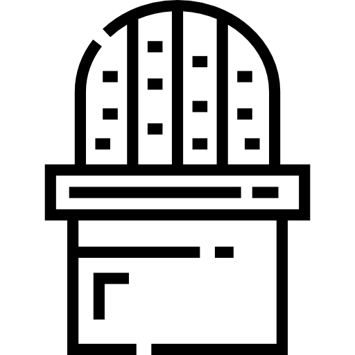 kaktus kostenlos Icon