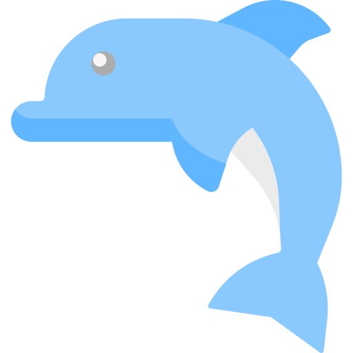 Dolphin Special Flat Icon