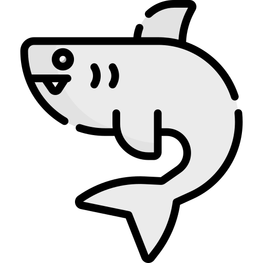 Shark free icon Shark free icon