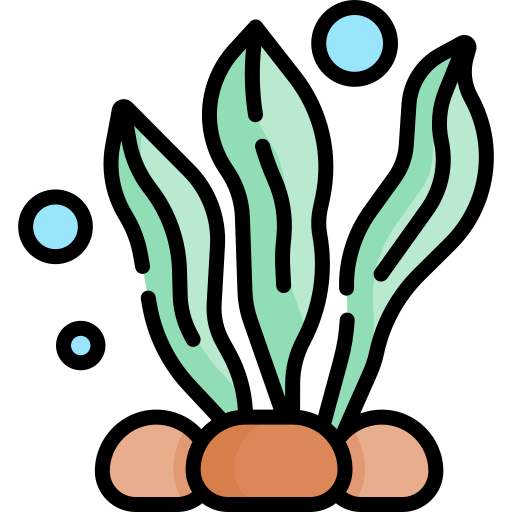 Seaweed Special Lineal color icon