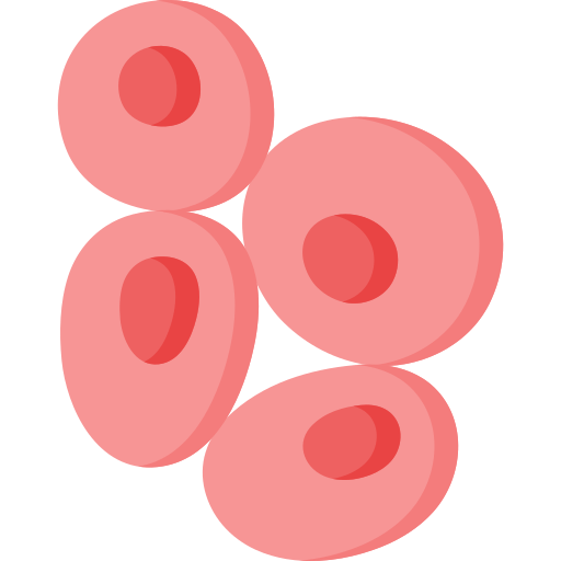 Blood cell drawing Composition of the blood (blood capillary): red blood  cells, white blood cells