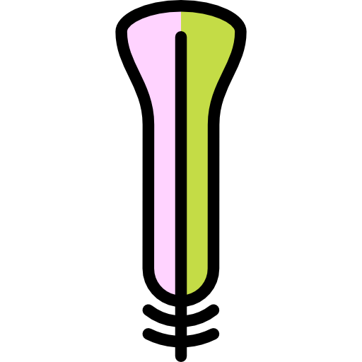 ailes Icône gratuit