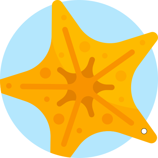 Starfish free icon Starfish free icon