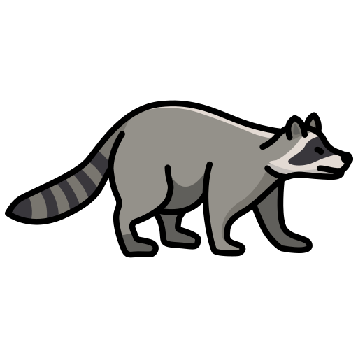 Raccoon - free icon