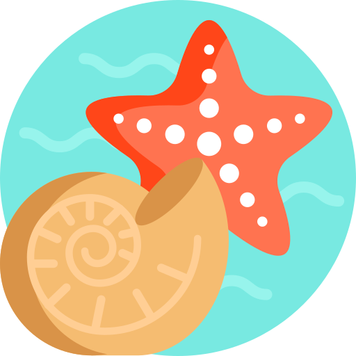 estrella de mar icono gratis