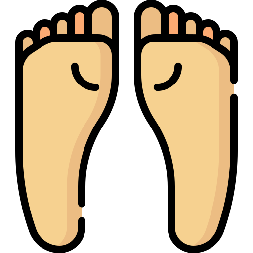 Soles Special Lineal color icon