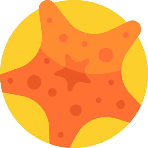 Starfish free icon