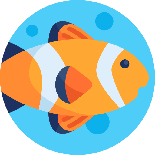 Clownfish free icon Clownfish free icon