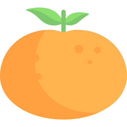 Orange Special Flat icon