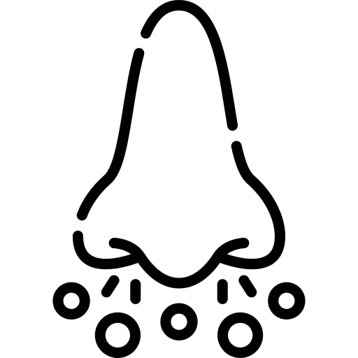 Nose free icon