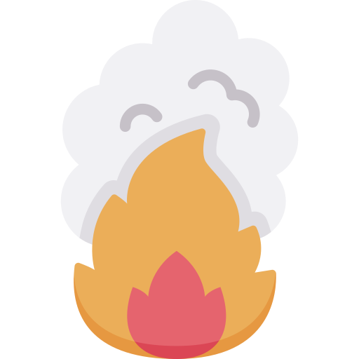 Fire Special Flat icon