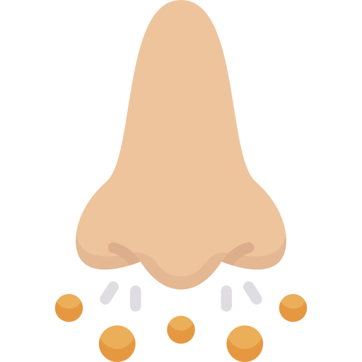 Nose free icon Nose free icon