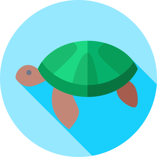 tortue Icône gratuit