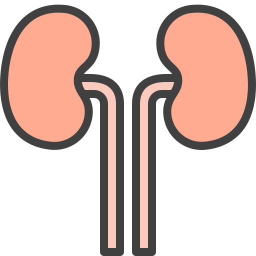 Kidneys free icon Kidneys free icon
