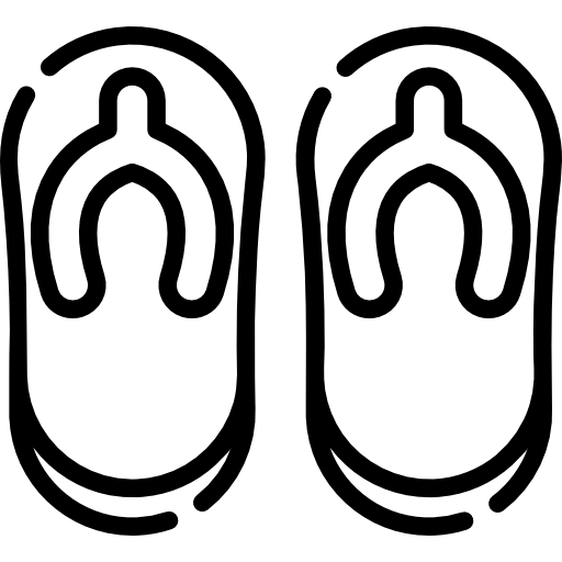 Flip flops Special Lineal icon