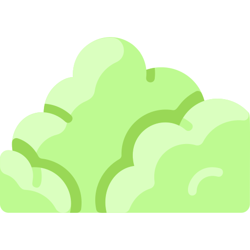 dschungelscheibe kostenlos Icon