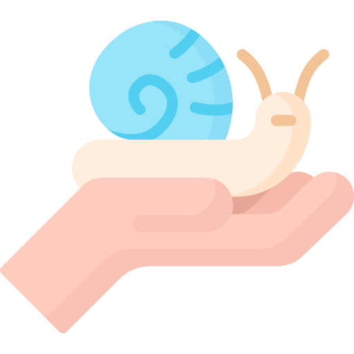 Улитка бесплатно иконка