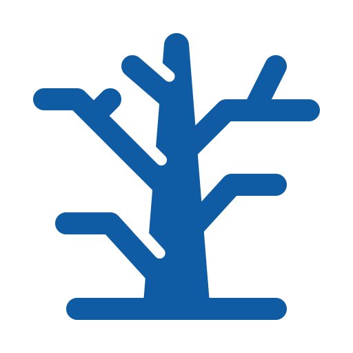 Cricket Learning Illustration