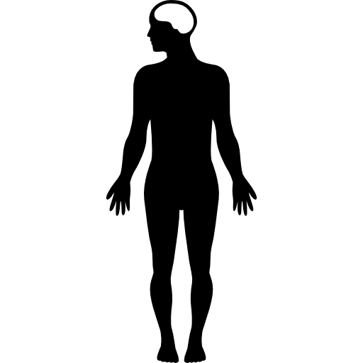 Male Human Body Silhouette Variant Svg Png Icon Free Download 37160 Images