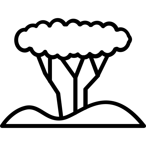 Tree free icon