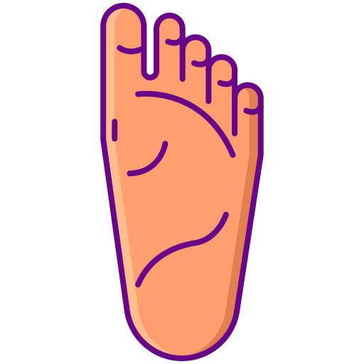 Foot Flaticons Lineal Color icon