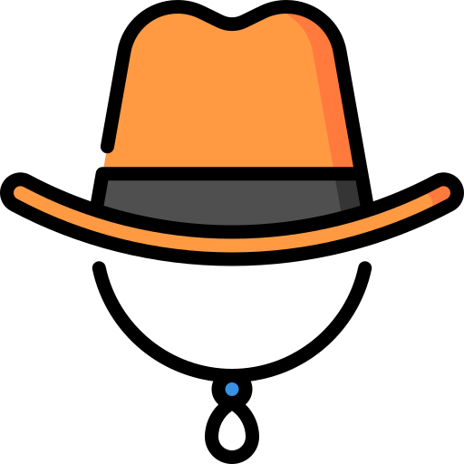 Cowboy hat Special Lineal color icon