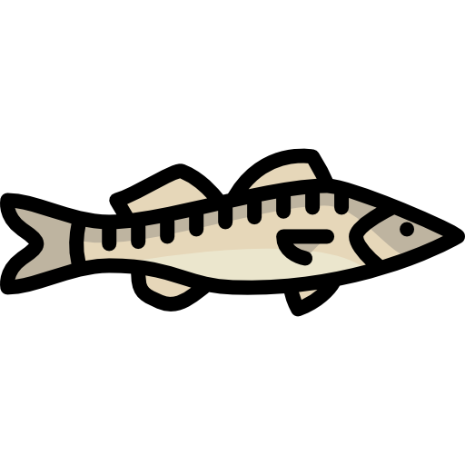 Zander free icon
