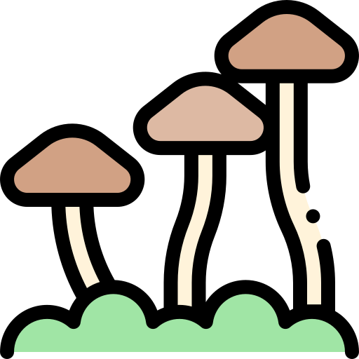 Mushroom free icon Mushroom free icon