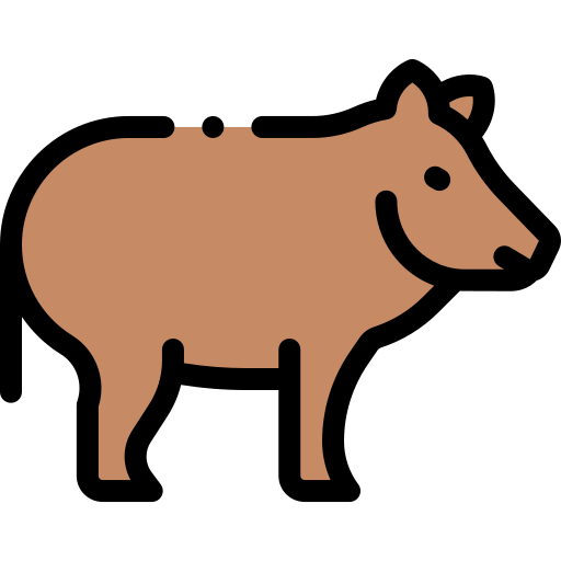 Boar free icon Boar free icon