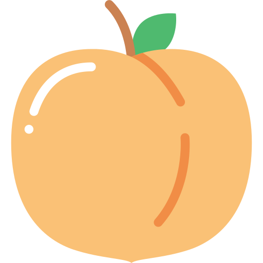 Basic Miscellany Flat Peach icon