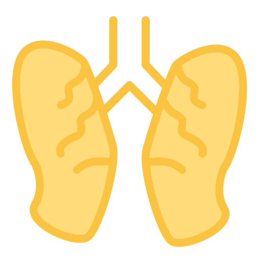 pulmón icono gratis