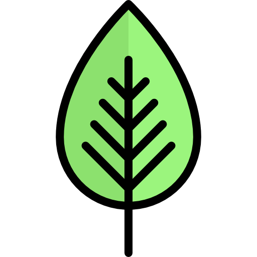 Leaf Special Lineal Color Icon