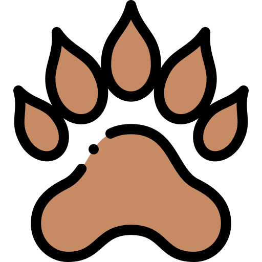 Pawprint Detailed Rounded Lineal color icon