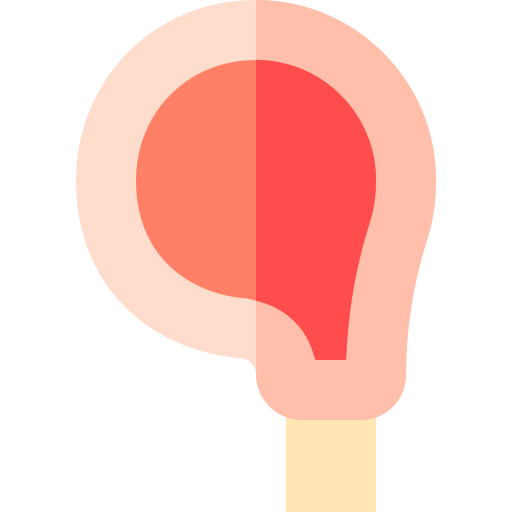 viande Icône gratuit