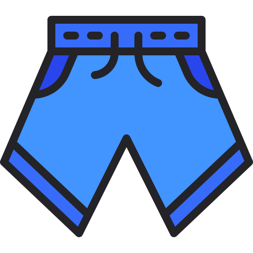 Shorts Generic Outline Color icon