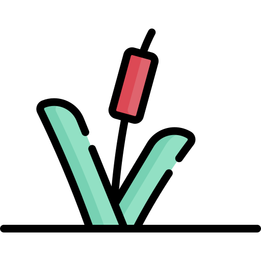 갈대 무료 아이콘