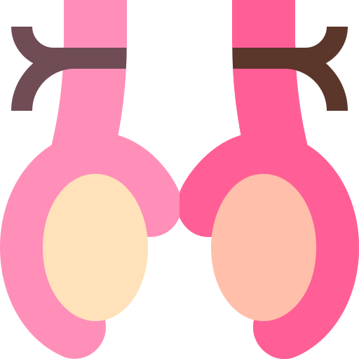 Vasectomy free icon Vasectomy free icon