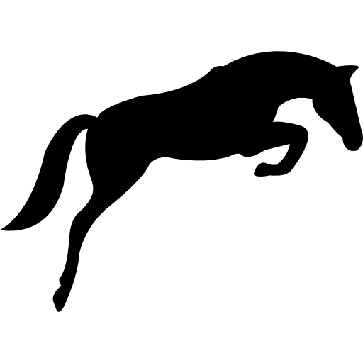 Show Jumping Horse Silhouette