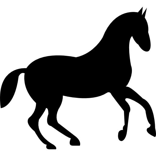 Cavalo de corrida preto PNG transparente - StickPNG