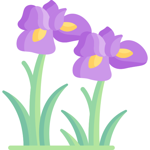 Iris free icon