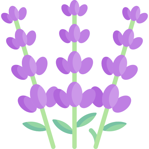 lavanda icono gratis