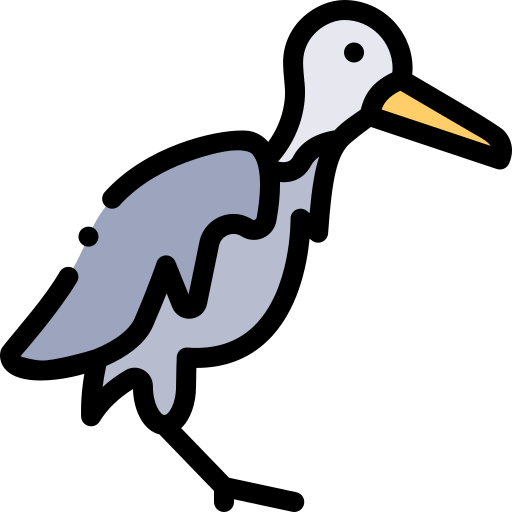 Bird free icon Bird free icon
