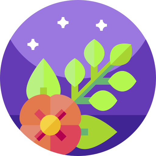 Цветок бесплатно иконка Цветок бесплатно иконка