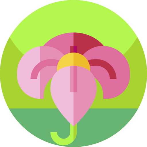 Цветок бесплатно иконка