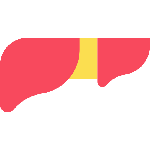 Liver free icon