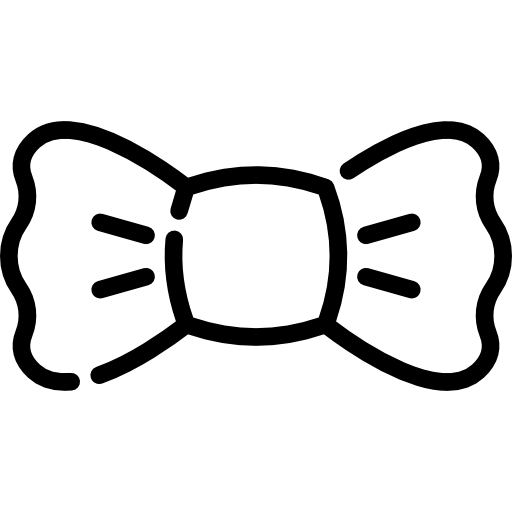 Bow tie Special Lineal icon