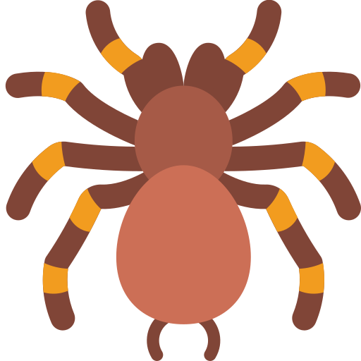 spinne kostenlos Icon spinne kostenlos Icon
