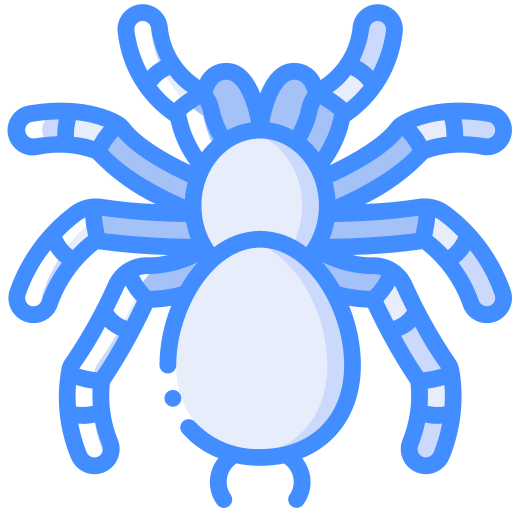 Spider free icon