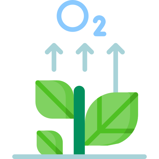 Photosynthesis - Free Nature Icons